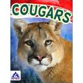 Wild Cats
