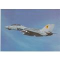 Grumman F14 Tomcat U.S. Navy Military Aircraft ...