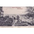 Dunedin Auckland New Zealand From Botanical Gar...