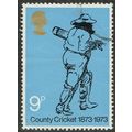 1973 County Cricket 9p Black and Blue SG930 FU