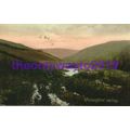 Hessenford Valley, Cornwall, Rare Frith Postcar...