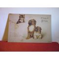 A HAPPY BIRTHDAY .. used antique postcard small...
