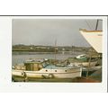 Essex WIVENHOE Pleasure Boats Postcard by Engli...