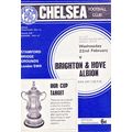 CHELSEA v BRIGHTON & HOVE ALBION FA CUP 4TH ROU...