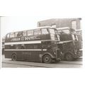 Black & White Photograph of Ribble Motor Servic...