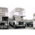 Black & White Photo of Hedingham & District Omn...