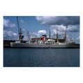 SL0379 - Blue Star Line Cargo Ship - Brasilia S...