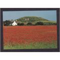 POPPYFIELD AND BEESTON HILL - NORFOLK - NICE CO...