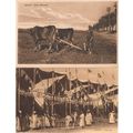 Egypt Arab Fete Farm Labourers 2x Antique Rare ...