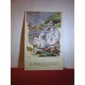 A FAMILY OF SWANS used postcard birds animals d...