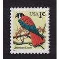 USA American Kestrel 'Falco sparverius' Bird 19...