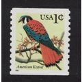 USA American Kestrel 'Falco sparverius' Bird Ro...
