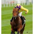DVD - SEA THE STARS: ALL 6 Group 1 RACES - Enti...