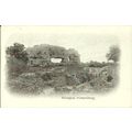 Shropshire SHREWSBURY Uriconium Postcard