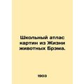 School Atlas of Paintings from the Life of Bram Animals. In Russian (ask us if i