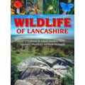 Wildlife Of Lancashire