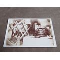 Early real photo Broderick Postcard -Donkey @ C...