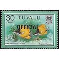 1981 SG O11 - MNH (**) - FISH