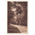 Park Street Mill Hill London Postcard 86668