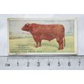 1916 Players British Livestock 9 The Lincolnshi...