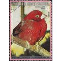 EQUITORIAL GUINEA, BIRDS, Red-billed firefinch, pink 1974, 4 ptas