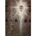 Joseph Michael Linsner ' DAWN & BEYOND ' card #...