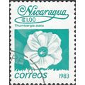 NICARAGUA, FLOWER, Black-eyed Susan, blue-green...