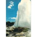 New Zealand PC 1981 - Pohutu Geyser, Whakarewar...