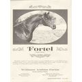 williams arabian farms 1972 fortel como forta s...