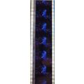 Back to the Future 2. Pk HCH - C070r . - 1 STRI...