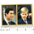 1991 Panini sticker Royal Family No. 206 Prince...