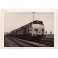Railway Photo BR Class 50 D417 Carlisle Kingmoo...
