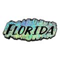 Florida Silver Prism Fridge Magnet