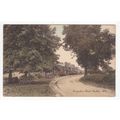 Swepstone Road Heather Postcard Leicestershire ...