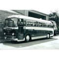 Black & White Photograph of Purple Motors of Be...