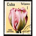 Cuba 1982 Flowers Tulip 1c Used Stamp.