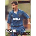 Merlin Premier Gold English Premier League 1996...