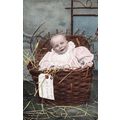 Season Baby Child In Basket Gift Present + Bagg...