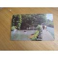 1976 fr Dean & Co Postcard - Bonchurch scene, I...