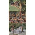 Maori Concert Group Women New Zealand 3x Postca...