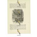 Merchant Taylor's Hall, Threadneedle Street, Lo...