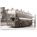 Black & White Photograph of Ribble Motor Servic...