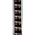 Pk GEB - P - MIX - a 005E. 1 STRIP OF 5 - 35MM ...