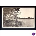 Norfolk FRITTON LAKE Postcard (J6184) by Norvic...