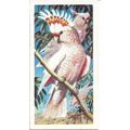 Tropical Birds 1961 Brooke Bond Tea Card 45 - L...