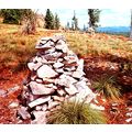 Indian Post Office Lolo Trail Idaho Lewis & Cla...