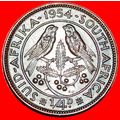 BIRDS (1953-1960): SOUTH AFRICA ★ 1/4 PENNY 195...