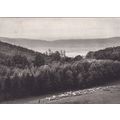 Maria Laach Germany Postcard posted 1961 VGC