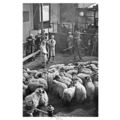 pt6093 - Skipton Sheep Market 11 October 1944 ,...