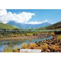 D024226 The Amphitheatre. Drakensberg. Natal. A...